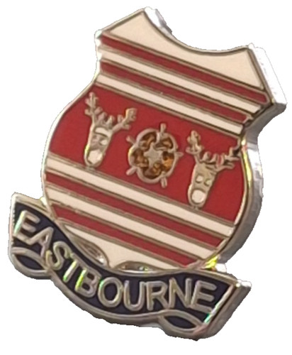 Eastbourne town small pin - town,