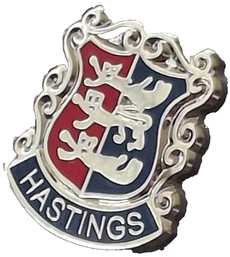 Hastings town small pin - town,